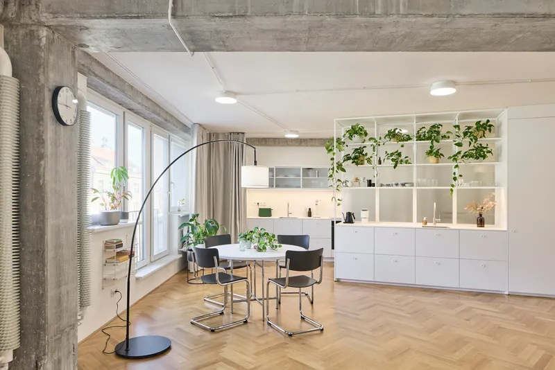 Open living and dining space with kitchenette and shelving filled with trailing green plants