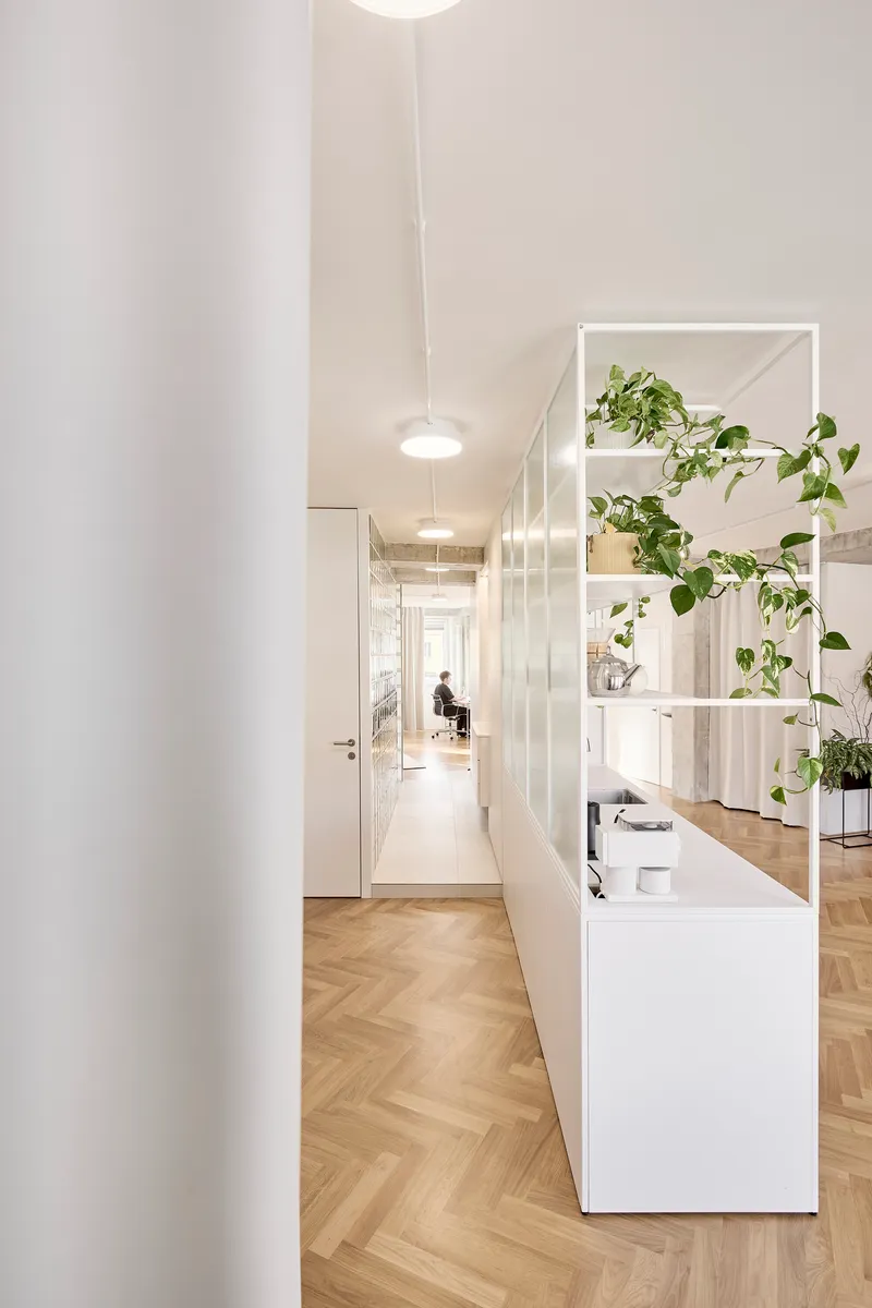 Narrow corridor with herringbone wood flooring and white translucent glass partitions framing potted plants