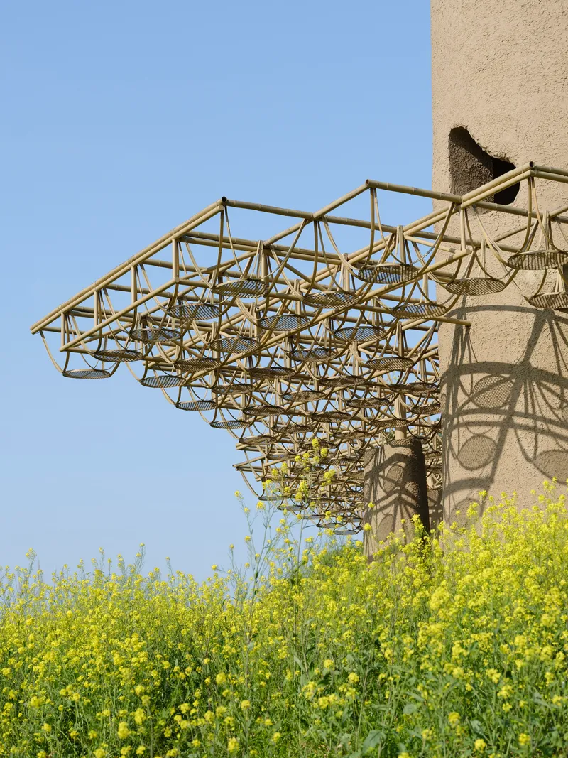 Underside view of the timber lattice canopy against a clear blue sky with yellow flowering field below