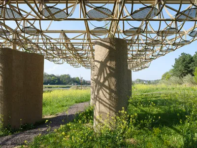 Studio 10 Carves Cave-Like Pavilions into a Bamboo Canopy on the Longyou Wetlands