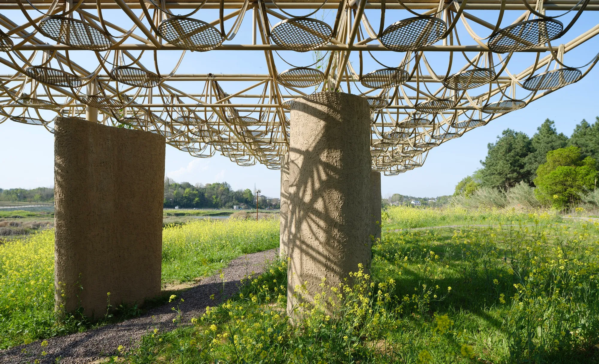 Studio 10 Carves Cave-Like Pavilions into a Bamboo Canopy on the Longyou Wetlands