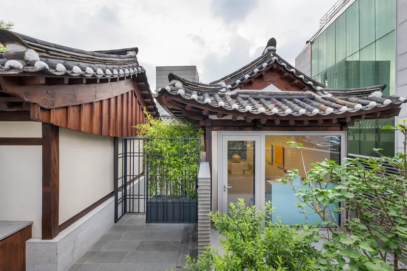 Rooftop terrace showing curved tile eaves, planted bamboo beds and ribbed metal partition wall