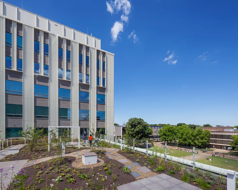 Rooftop terrace with planted beds overlooking a leafy campus quad under clear blue skies