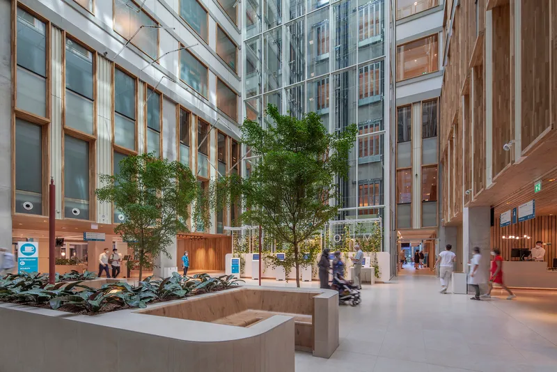 Glazed courtyard with timber-clad facades, planted trees in raised concrete planters and pedestrians passing through