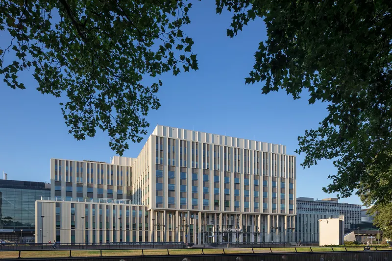 Vertical white fin facade framed by overhanging tree branches under a clear blue sky