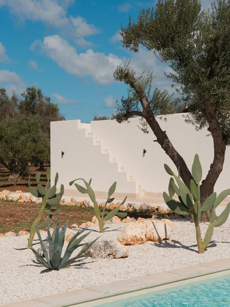 Exterior staircase rising along a white stucco wall with olive trees and agave plantings