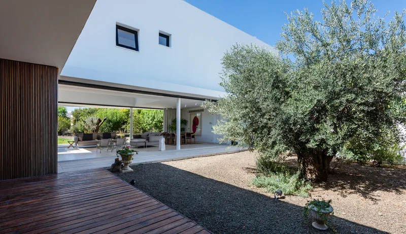 Courtyard with gravel path between timber-clad wall and mature olive tree beneath cantilevered upper floor