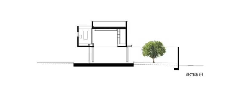 Section drawing through two-story volumes with a tree in an exterior courtyard