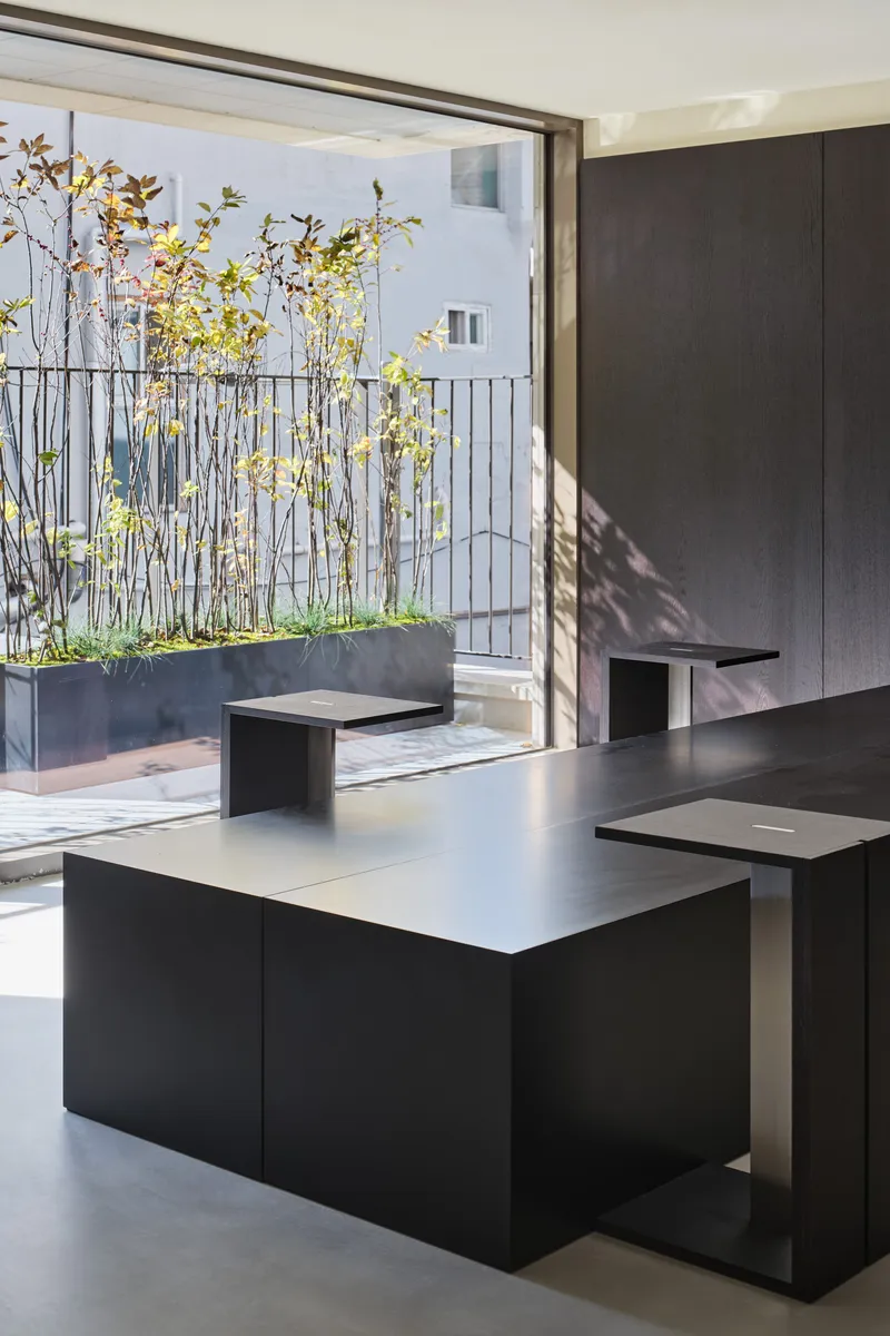 Interior view showing dark kitchen island opening to a terrace with planted boxes and yellow spring foliage