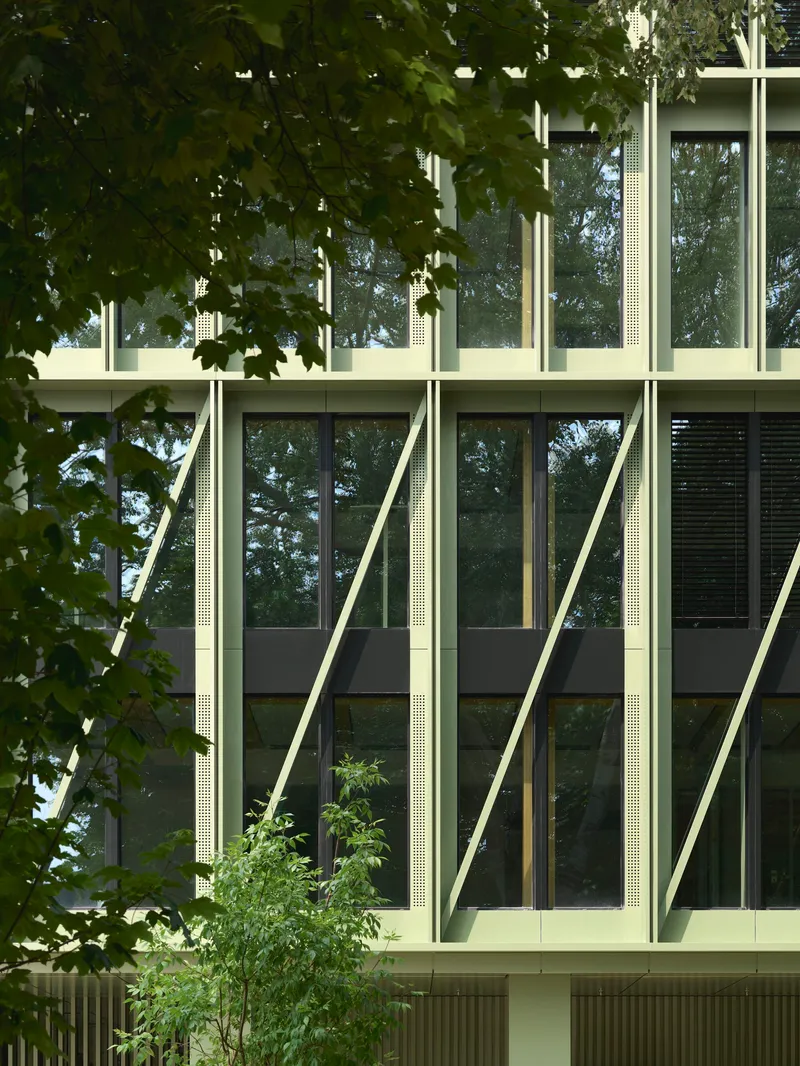 Close-up of the pale green diagonal bracing and perforated metal panels framed by overhanging tree branches