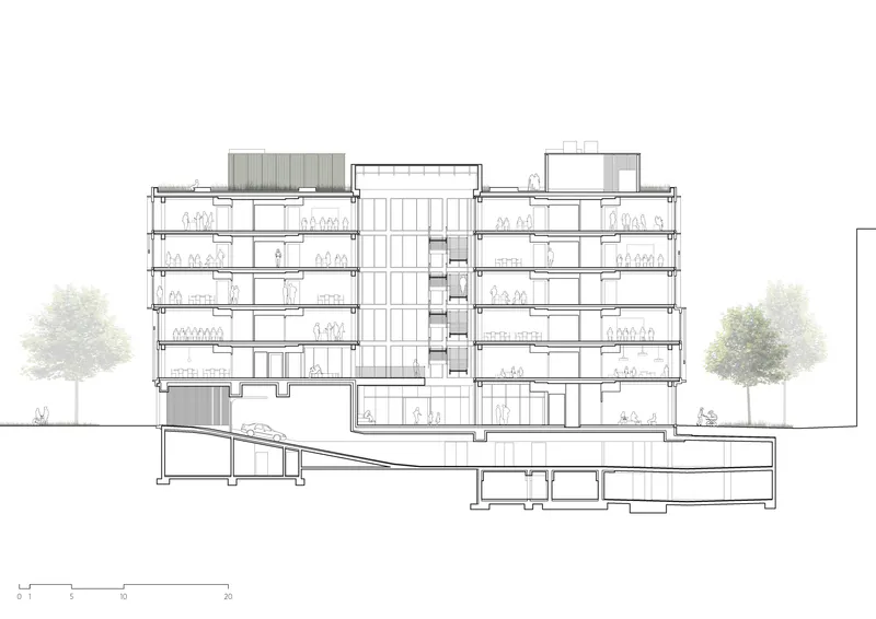 Section drawing through multi-story building revealing central atrium and sloping underground levels with flanking trees