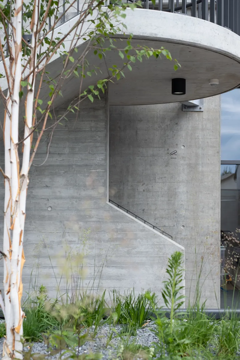 Curved concrete canopy over a planted bed with grasses and birch trees