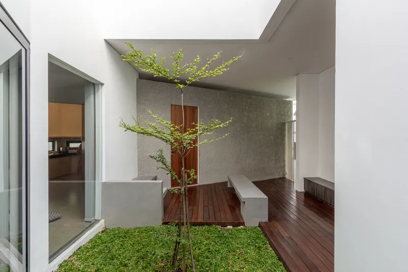 Internal courtyard with grass patch and single tree surrounded by timber decking and concrete bench