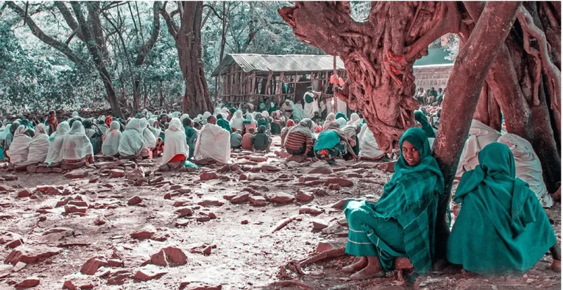 Community prayer beneath ancient trees, where forest shade becomes a sacred gathering space.