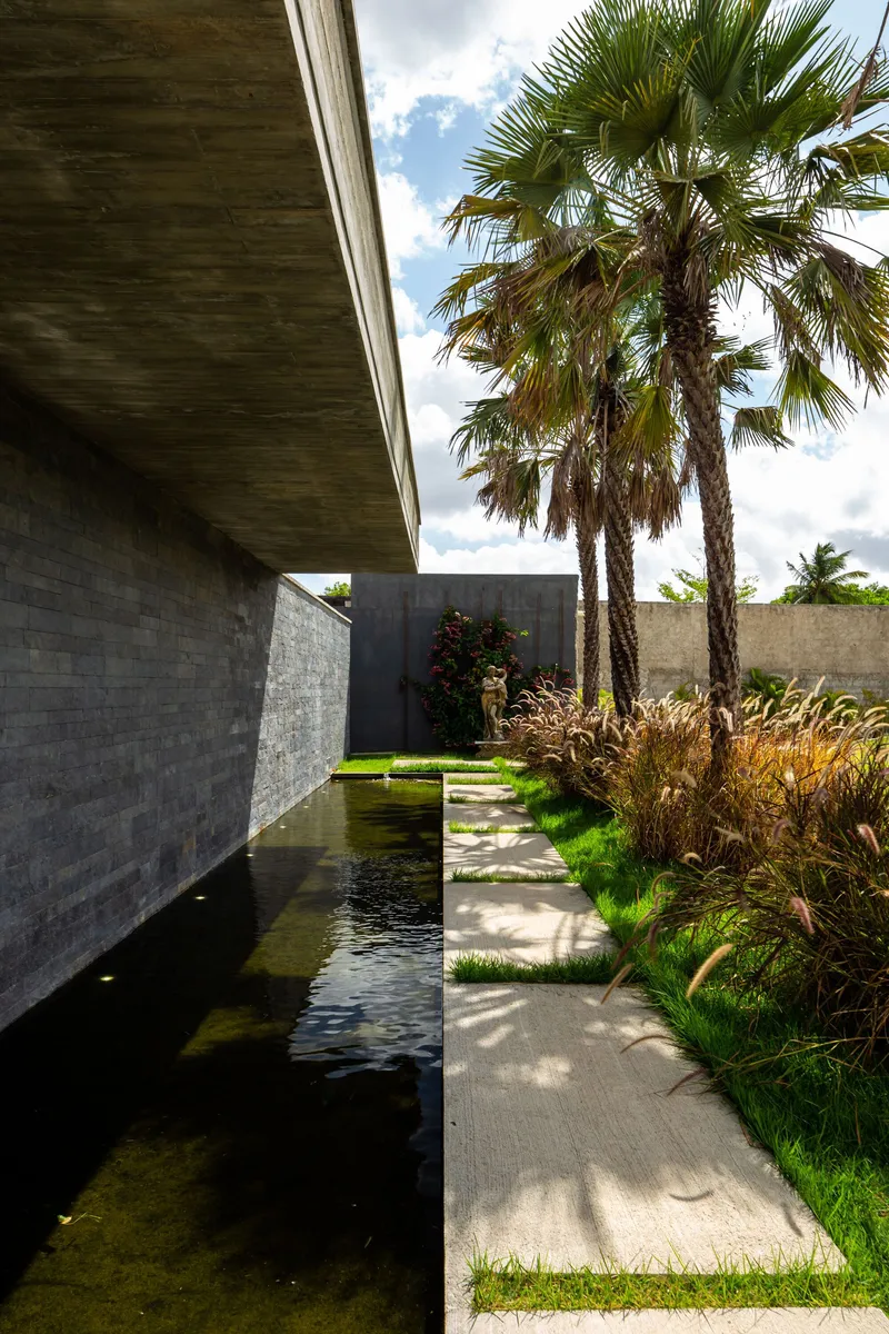 Narrow walkway alongside a reflecting pool with palm trees casting shadows under afternoon sun