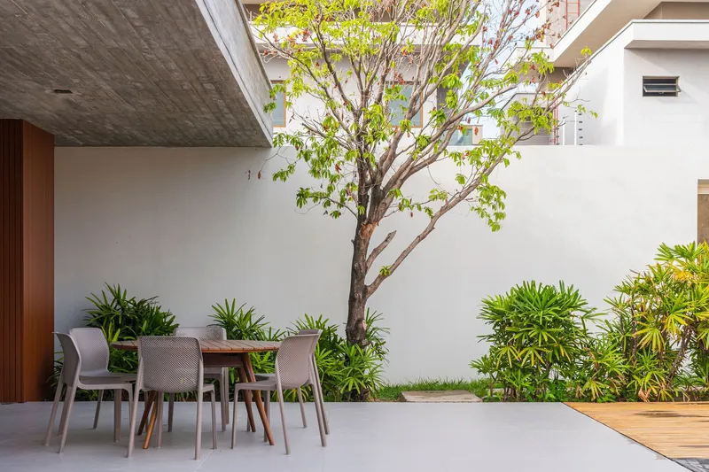 Outdoor dining area with a single tree and tropical plantings against a white wall in dappled light