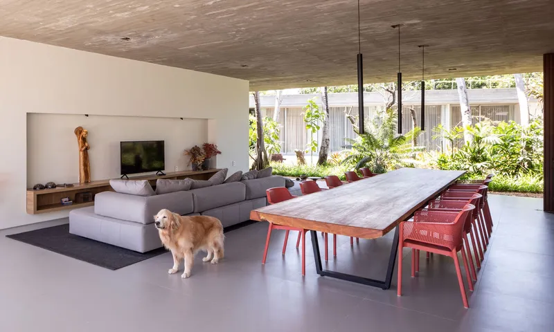 Open living and dining area with striped timber ceiling, a dog standing near the table, and courtyard beyond