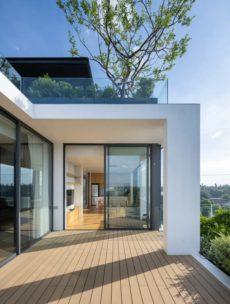 Timber deck terrace with sliding glass doors opening to interior and rooftop tree above
