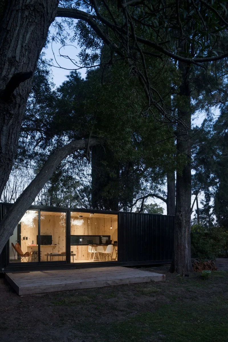 Glass-walled pavilion with plywood interior illuminated at dusk beneath tall eucalyptus trees