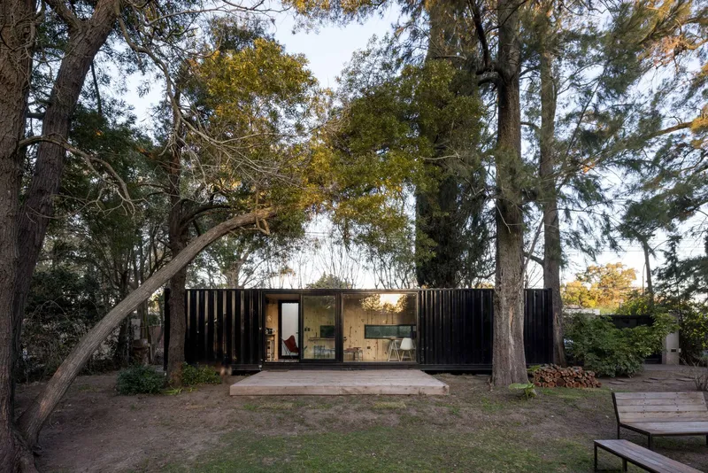 Dark corrugated metal volume with glazed openings set among tall trees in late afternoon light