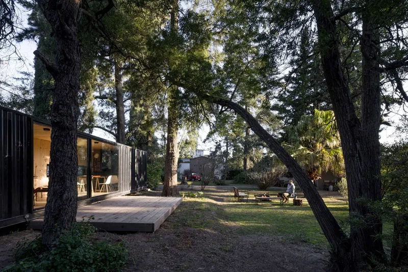 Timber deck extending from the glazed facade into a clearing framed by leaning tree trunks