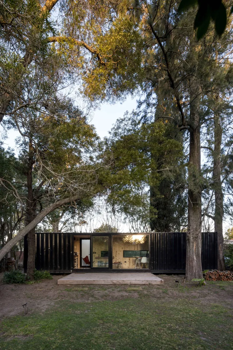 Corrugated metal and timber facade beneath a canopy of tall eucalyptus trees in afternoon light