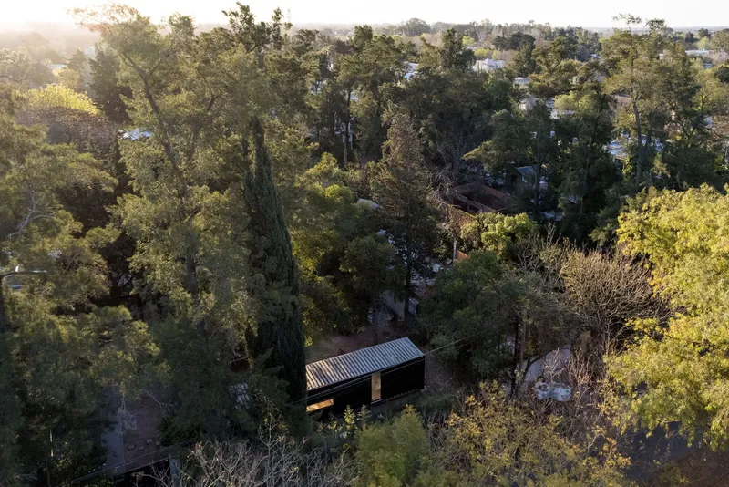 Aerial view of the corrugated roof nestled among dense tree cover in early morning light