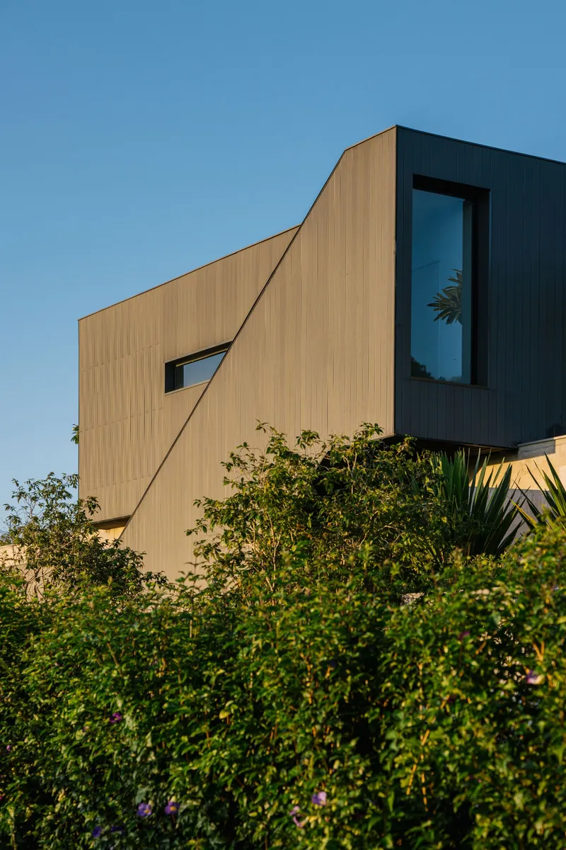 Vertical timber-clad facade with angular windows rising above dense garden planting