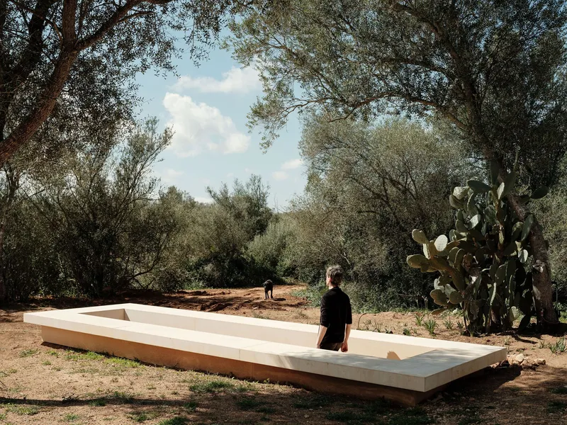 Sunken outdoor pool with white rendered walls set among olive trees and cacti