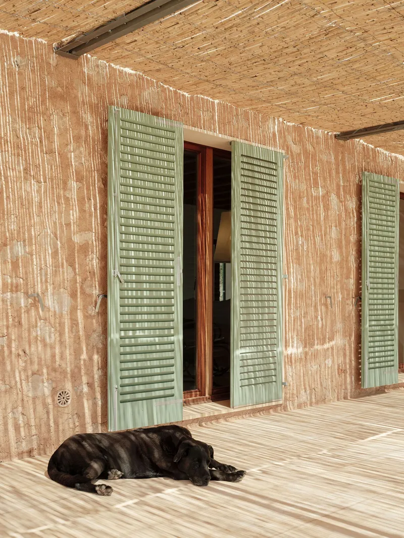 Timber deck with open louvered shutters in the textured wall and a resting dog