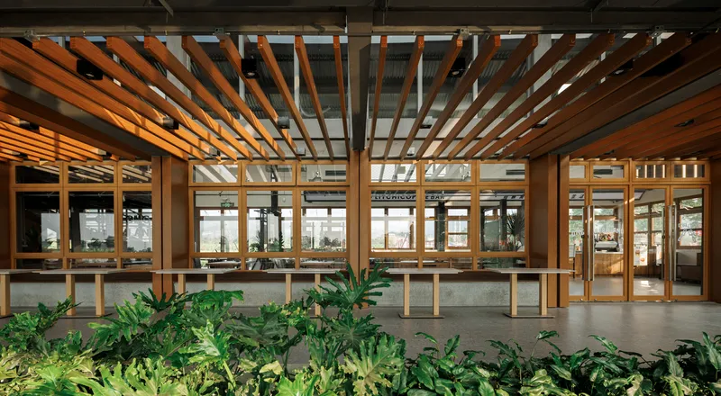 Covered terrace with timber pergola beams and planted beds beneath glazed openings