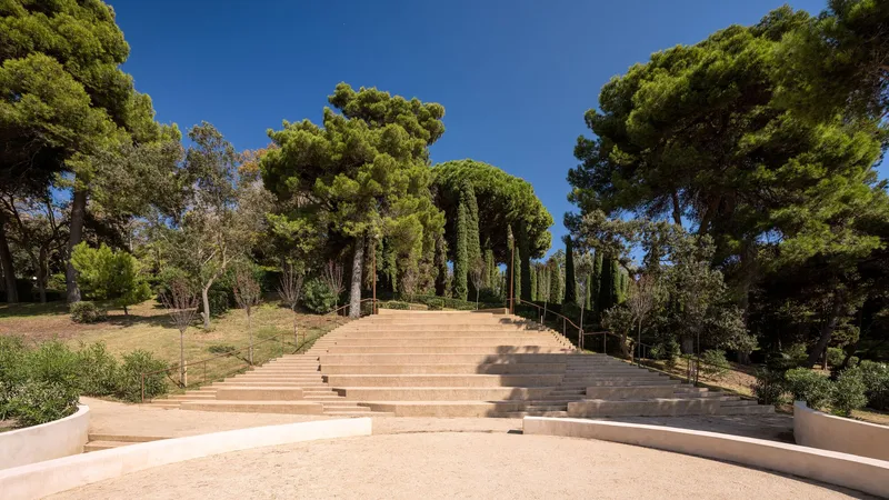Wide stepped terraces ascending through a grove of pine and cypress trees under clear sky