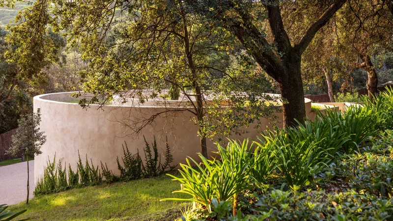 Curved plastered wall with planted bed of grasses and palms beneath overhanging oak trees
