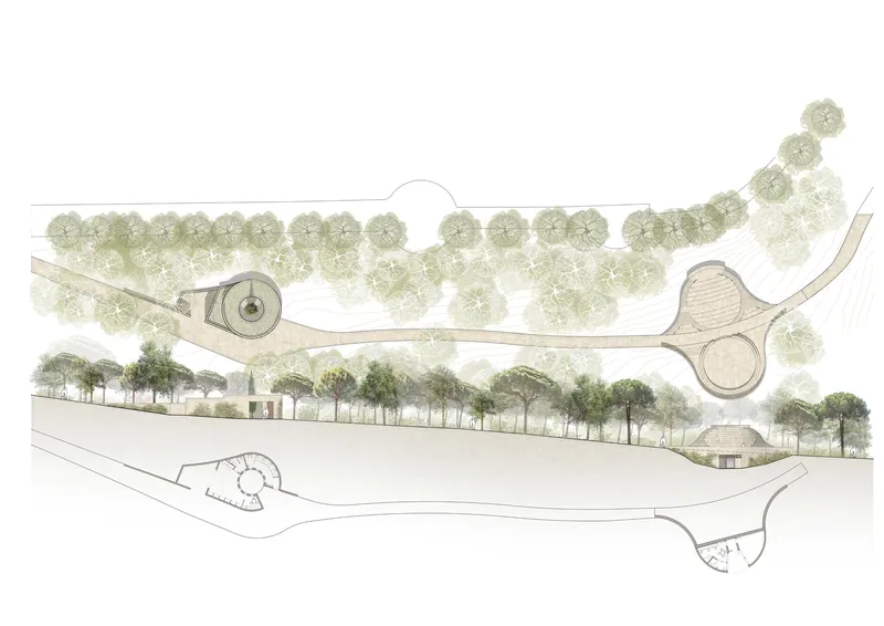 Site plan drawing showing circular structures and curving paths among rows of existing trees