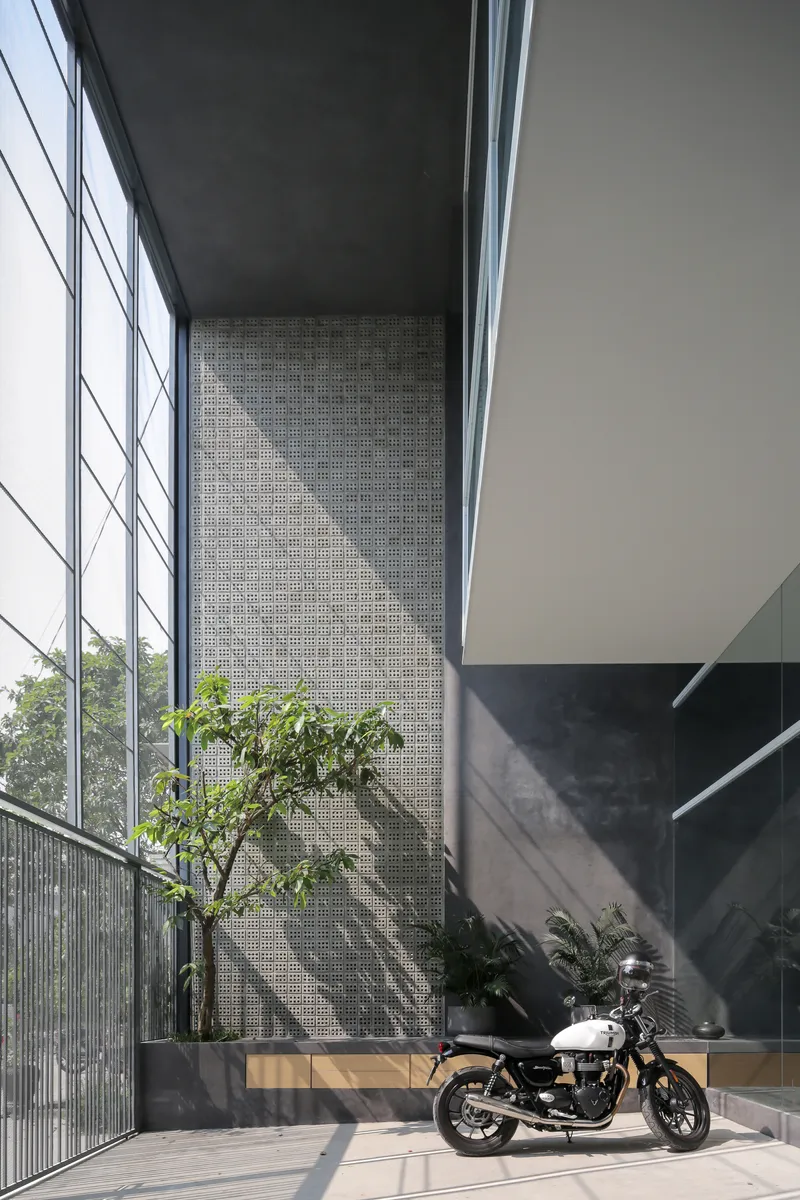 Courtyard terrace with perforated concrete screen wall and planted tree catching afternoon sunlight