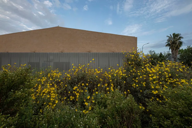Corrugated metal facade base with yellow flowering shrubs along the planted foreground in daylight