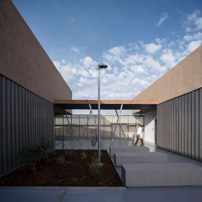 Outdoor courtyard with young tree, concrete pavers, and a person walking past the glass vestibule