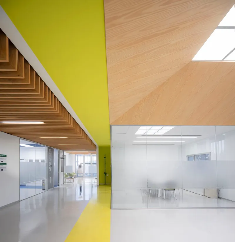 Interior corridor with yellow ceiling stripe, timber slat soffit, and skylights above a glass meeting room