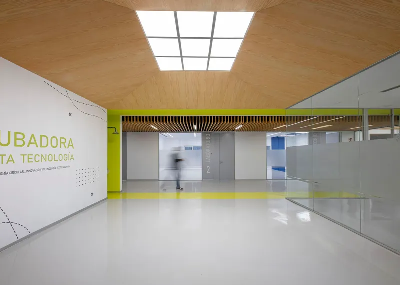 Interior corridor with timber slat ceiling, central skylight, yellow accent wall and glass-walled offices