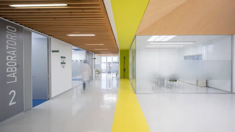 Hallway showing yellow stripe dividing white resin floor with timber slatted ceiling and glazed laboratory spaces