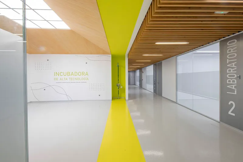 Interior corridor with yellow floor stripe running beneath slatted timber ceiling and frosted glass partitions