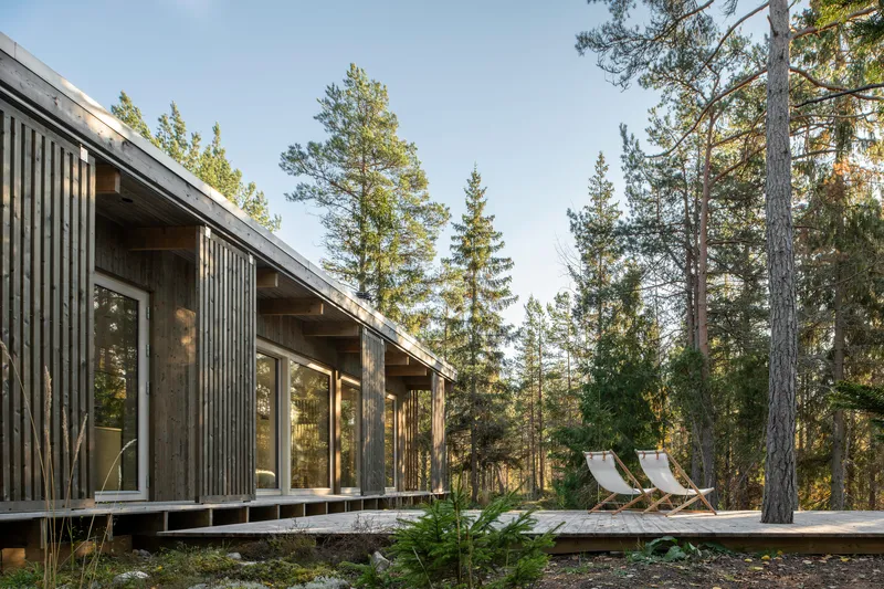 Exterior deck with two lounge chairs nestled among tall pines in afternoon light