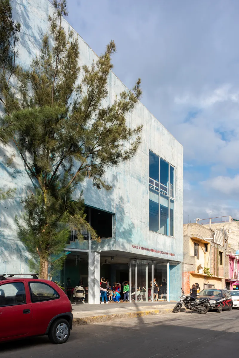 Board-formed concrete facade with pine tree casting dappled shadows across the surface in afternoon light