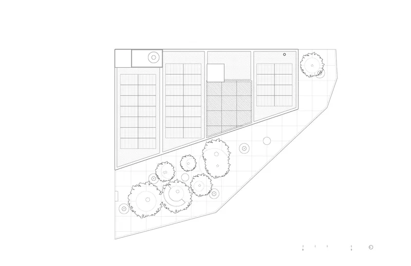 Roof plan showing parking grid, diagonal terrace surface and clustered tree canopies below