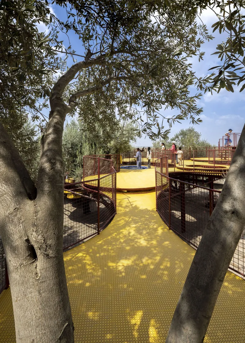 View through olive tree trunks toward yellow walkways with mesh railings and visitors in sunlight