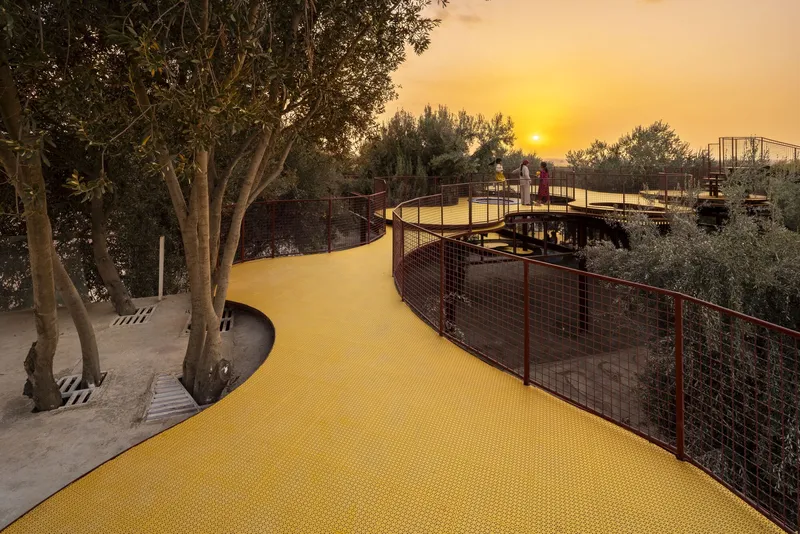 Curved yellow walkway with mesh railings winding through olive trees at sunset