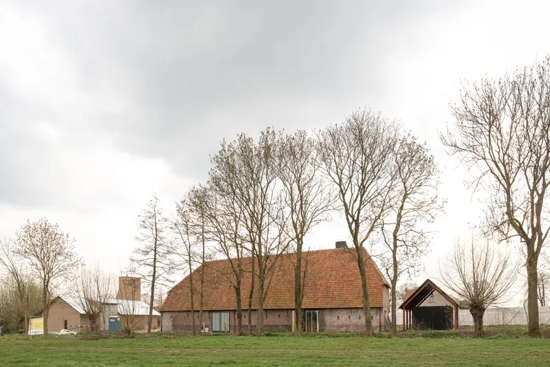 Farmhouse complex with clay tile roofs surrounded by bare winter trees in a grassy field