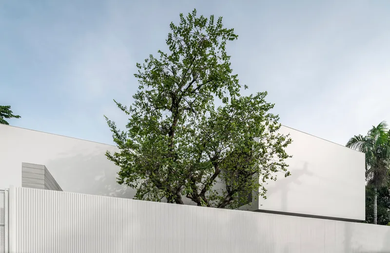 Mature tree rising above white stucco facade and ribbed perimeter wall with palms visible beyond