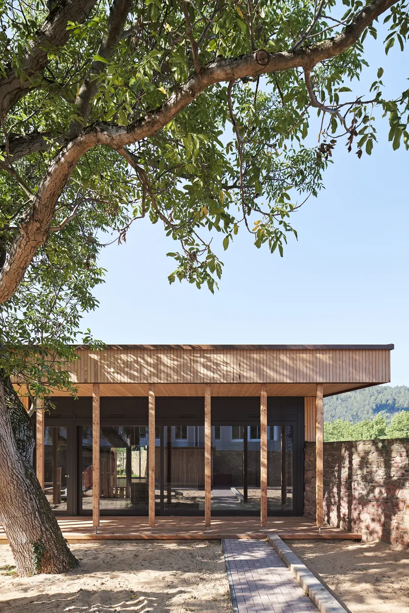 Covered portico with timber columns and ceiling below overhanging tree branches and blue sky