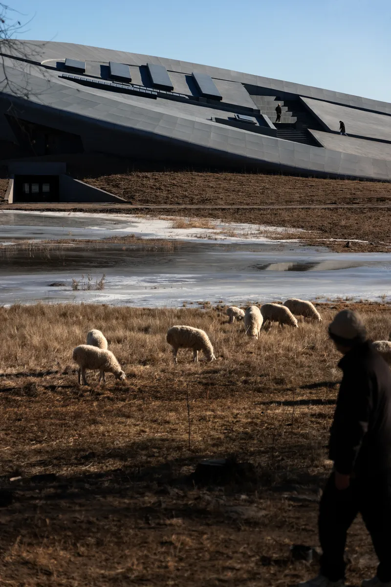 Angled dark metal roof plane rising above a frozen marsh with grazing sheep and a shepherd